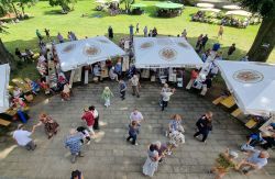 Musikpicknick